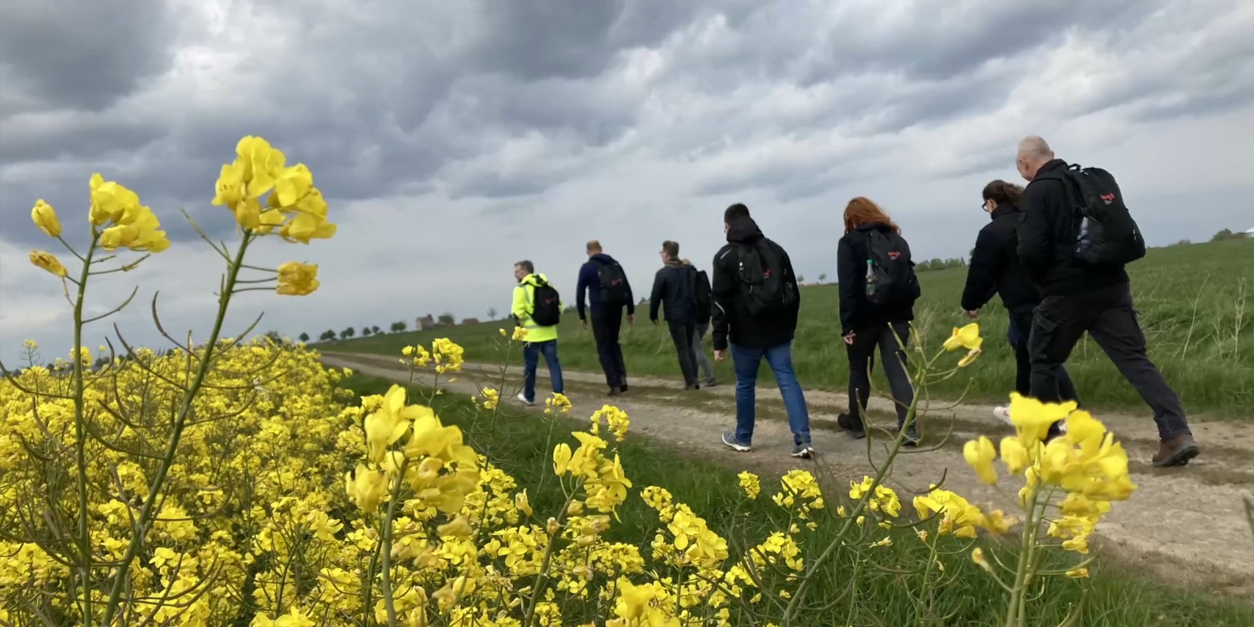 Eine Gruppe von Leuten wandert neben einem Rapsfeld bei Hildesheim