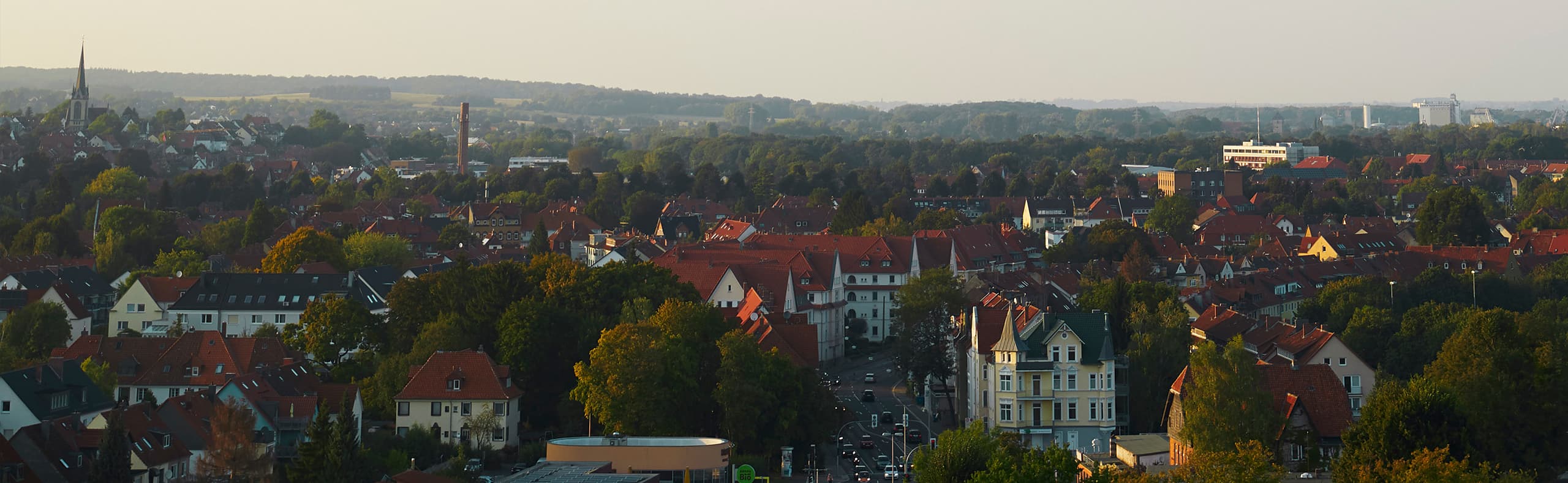 Eine Panoramaaufnahme der Dächer der Stadt Hildesheim mit Umgebung